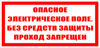 S13 Опасное электрическое поле. без средств защиты проход запрещен - Знаки безопасности - Знаки по электробезопасности - Магазин охраны труда Протекторшоп